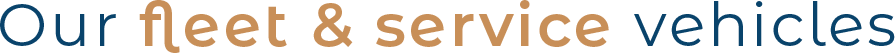 text bikefleet