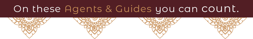 bild tourguides count