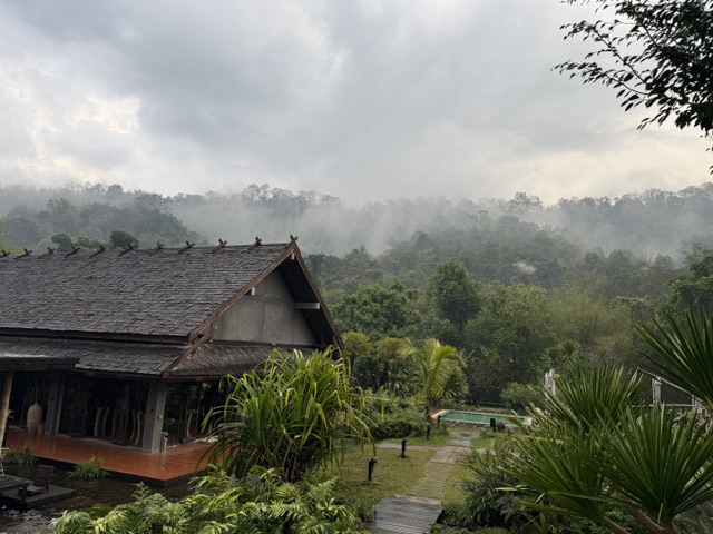 image14